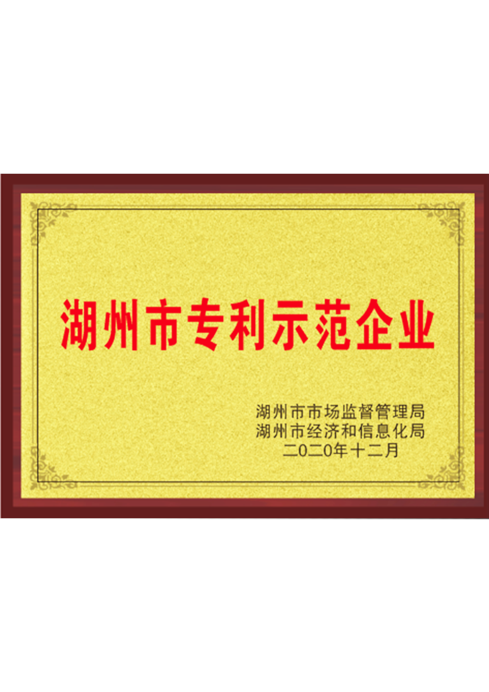 2020年湖州市專利示範企業